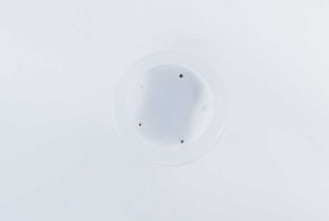 Bolsa Doypack ReciWhite reciclable pequeña con Zip y Válvula